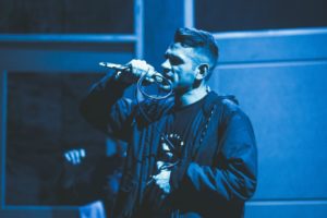 hawk-above-the-hood